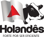 Gado Holandês